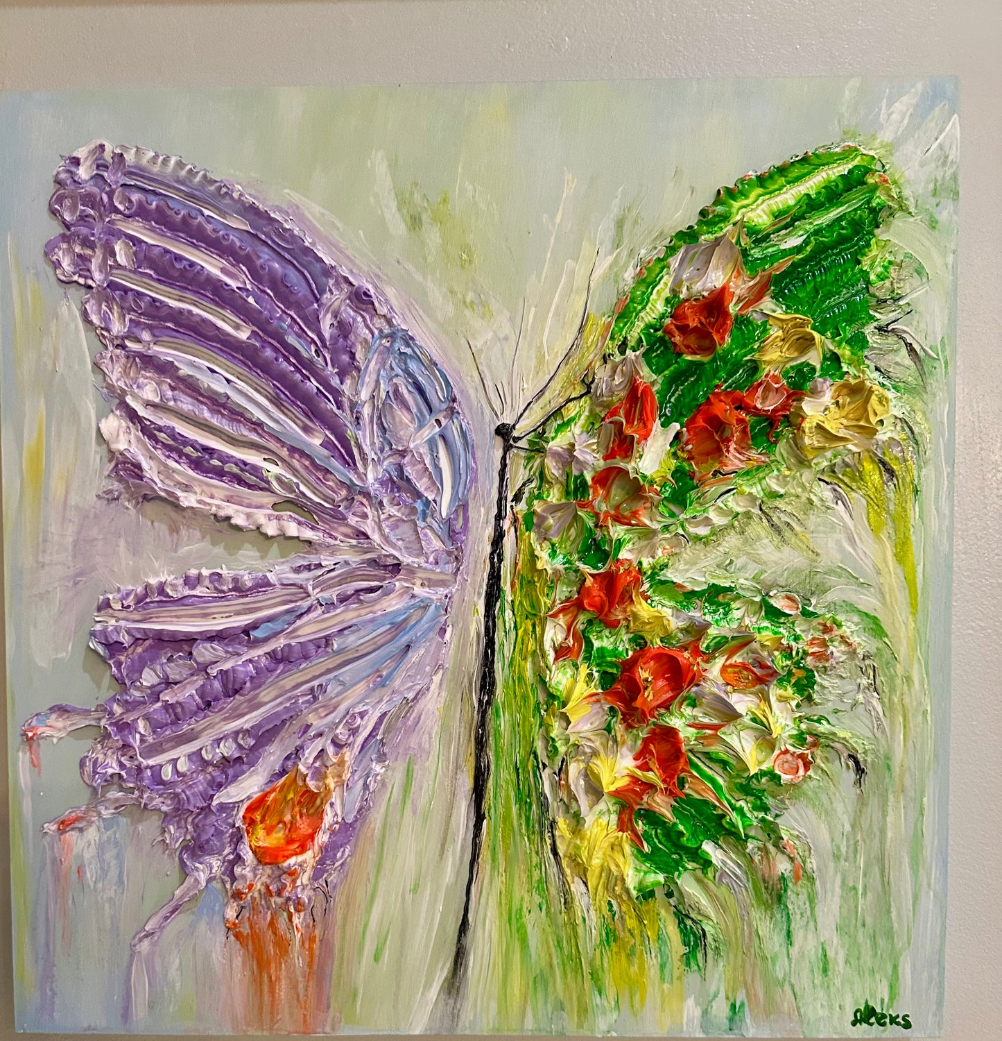 “Overflight”